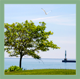 Holistic Cancer Treatment Holistic Cancer Treatment